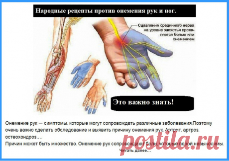 Народные средства против онемения рук и ног.
