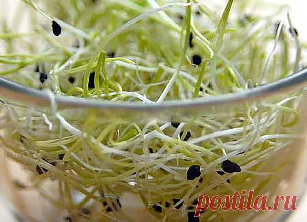 (66) Одноклассники