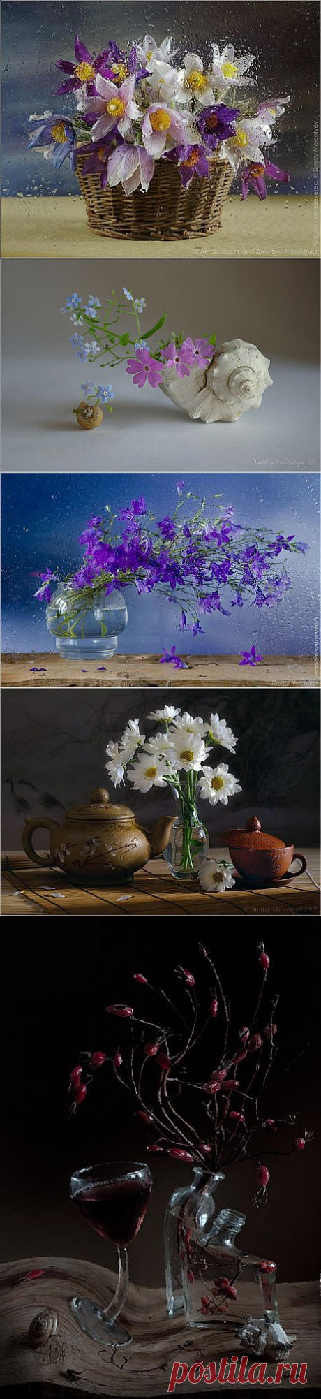 Фотохудожник Дмитрий Мелентьев.