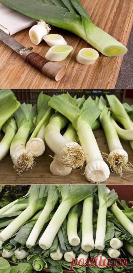 Лук-порей: суперпродукт на вашем столе / Будьте здоровы