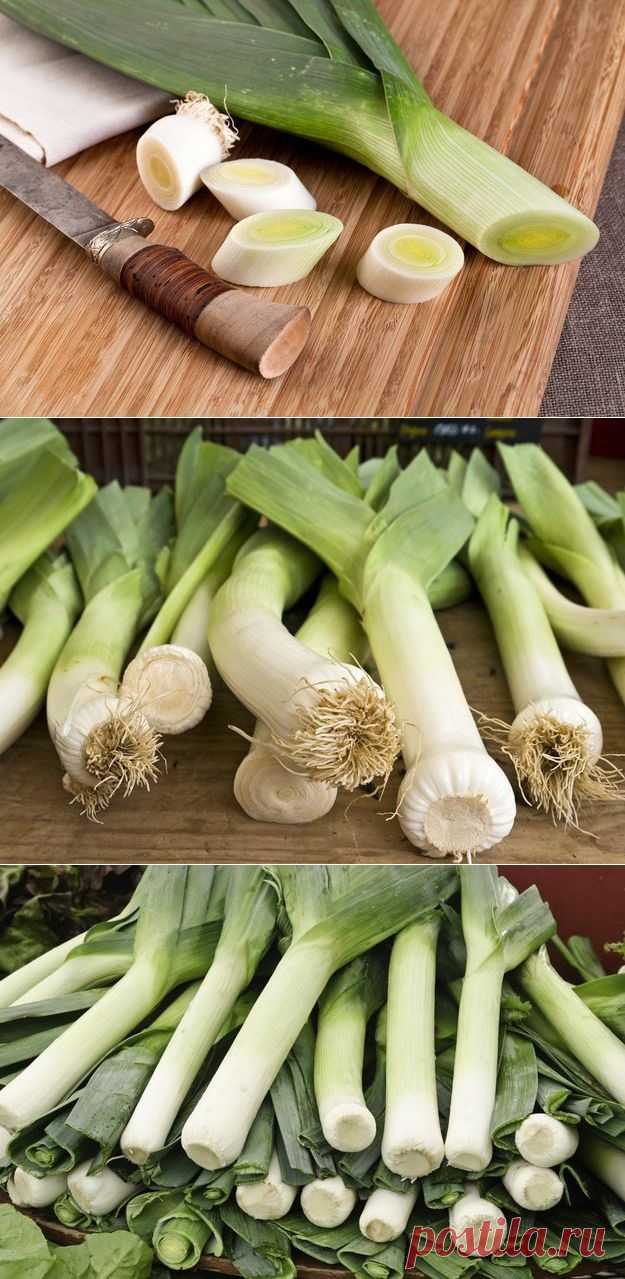 Лук-порей: суперпродукт на вашем столе / Будьте здоровы