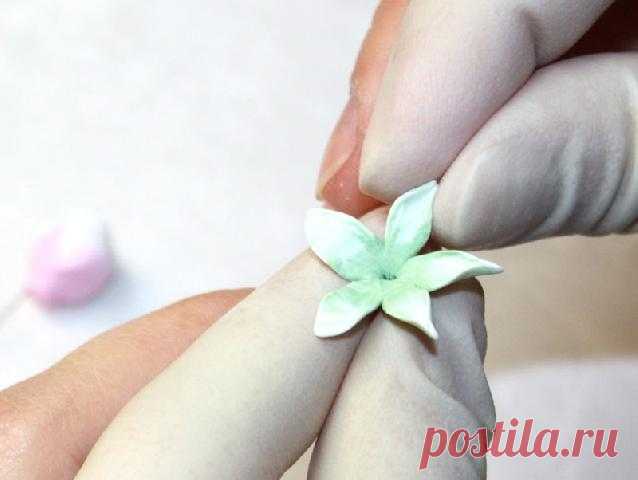 цветы из холодного фарфора