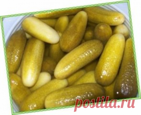 "Солёные огурцы на минералке"
Огурцы (небольшие и крепкие) - 1 кг.,
+ свежая зелень (пучок укропа/петрушка),
+ небольшая головка чеснока - 1 шт.,
+ перец горошком,
+ морская соль, желательно крупная - 2 - 4 ст. ложки,
+ сильногазированная минеральная вода - 1 литр.
Рецепт приготовления засола "Солёные огурцы на минералке":
Поначалу следует разделить укроп и петрушку пополам. Одну половину укропа и петрушки положить на дно тары, в которой Вы намерены мариновать огурцы.
Далее следует огурчики х