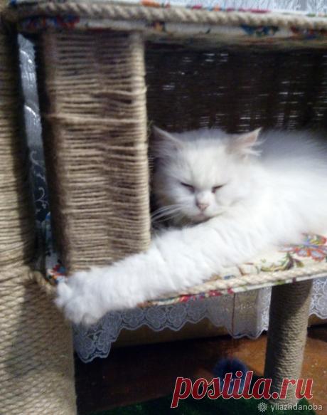 Мастерим домик для кошки - Ярмарка Мастеров - ручная работа, handmade