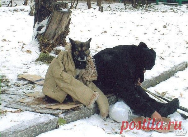 Пока человек чувствует боль — он жив. Пока человек чувствует чужую боль — он человек. | Все о наших питомцах