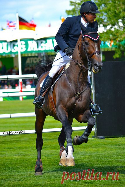 Eric Lamaze and Hickstead!  
Flickr   |   Pinterest • Всемирный каталог идей
