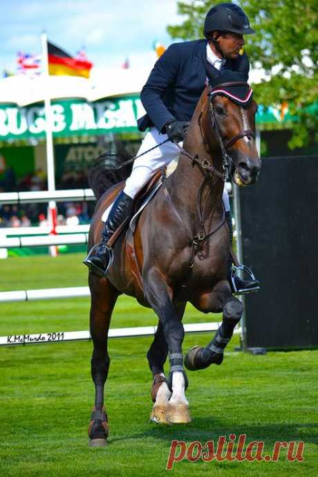 Eric Lamaze and Hickstead!  
Flickr   |   Pinterest • Всемирный каталог идей