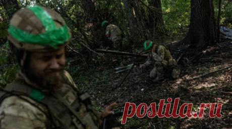 Минобороны: ВСУ за сутки потеряли около 1540 военнослужащих. Вооружённые силы Украины за минувшие сутки потеряли около 1540 военнослужащих в результате действий российских группировок войск в зоне специальной военной операции. Читать далее