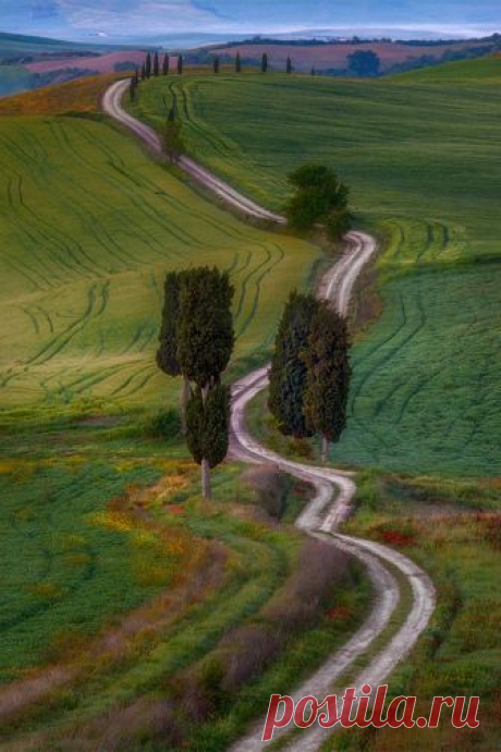 Enantiodromija | The morning way by Шевченко Юрий