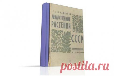 МАСТЕРСКАЯ ЗДОРОВЬЯ