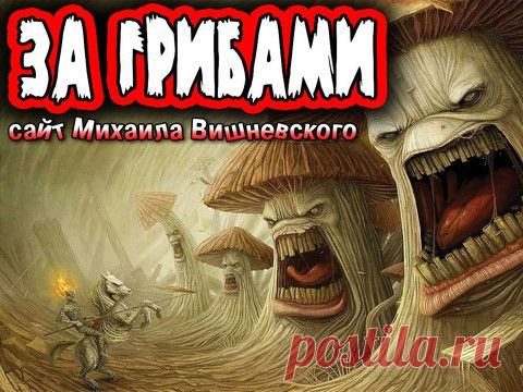 Болезни, поддающиеся лечению лекарственными грибами - Сайт М. Вишневского «ЗА ГРИБАМИ»