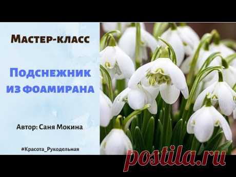 МК. Подснежник из фома. Саня Мокина