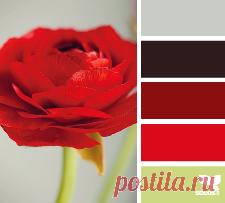 Цветы, деревья — источник вдохновения! | BepHuK собирает друзей