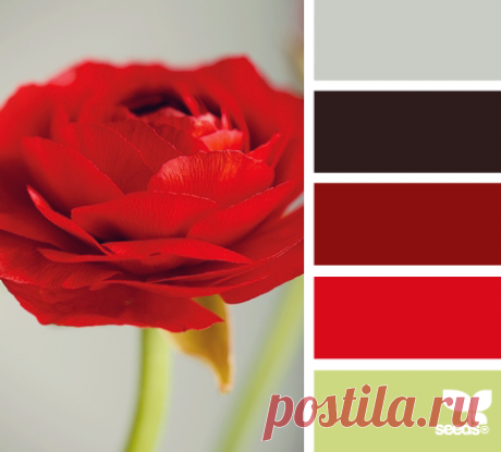 Цветы, деревья — источник вдохновения! | BepHuK собирает друзей