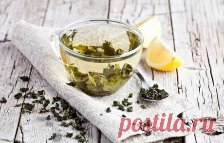 Скорая помощь: 6 продуктов, которые помогают при переедании — ХОЗЯЮШКА