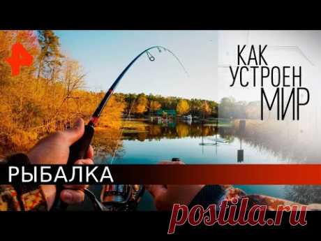 Рыбалка. Как устроен мир с Тимофеем Баженовым (18.05.20).