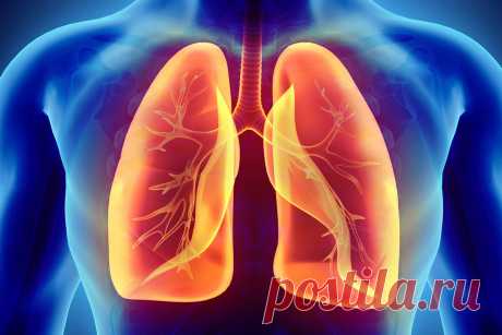 Предраковые заболевания и состояния легких, плевры: не пропустите сигналы организма
Рак легких — одно из самых распространенных сегодня онкологических заболеваний на земле. И врачи отмечают постоянный рост числа его случаев. Причем нельзя даже назвать какой-то возрастной период, для которого характерно было бы развитие злокачественных опухолей в этом органе. В настоящее время болеют и молодые, и...
Читай дальше на сайте. Жми подробнее ➡