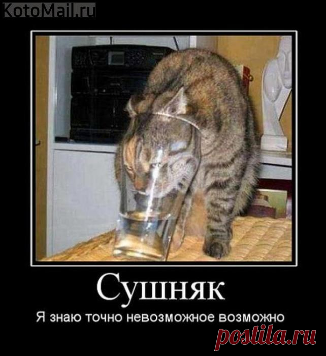 Сушняк.