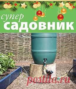 Как приготовить компостный "чай" в собственном саду на Supersadovnik.ru
