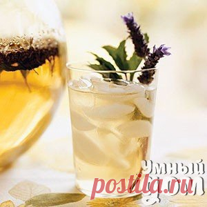 9 рецептов освежающего ледяного чая Ледяной чай в жару — настоящее спасение. Этот волшебный напиток куда приятнее пить, чем обычную воду. Он тонизирует и освежает, а ещё обладает множеством полезных свойств. Кстати, холодный чай может выступить в качестве напитка и на летней вечеринке, особенно если подать его красиво. В этой статье мы расскажем о нескольких рецептах самого вкусного холодного чая. У вас впереди целое лето, чтобы попробовать их все! Ромашково-лавандовый чай с мятой Ингредиенты:…