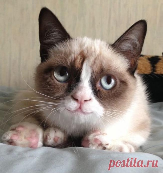 Улыбки вокруг нас: пост, который сразу поднимет ваше настроение - У нас так