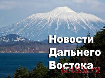 АЛРОС приватизируют. Мастер и золото на 6 млн. Медведь и овчарка. Статус Арсеньева. Депутат, который дерётся - 7 Июля 2016 - Russia-Asia-Siberia