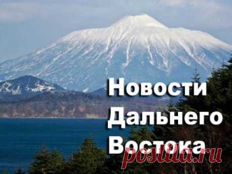 АЛРОС приватизируют. Мастер и золото на 6 млн. Медведь и овчарка. Статус Арсеньева. Депутат, который дерётся - 7 Июля 2016 - Russia-Asia-Siberia