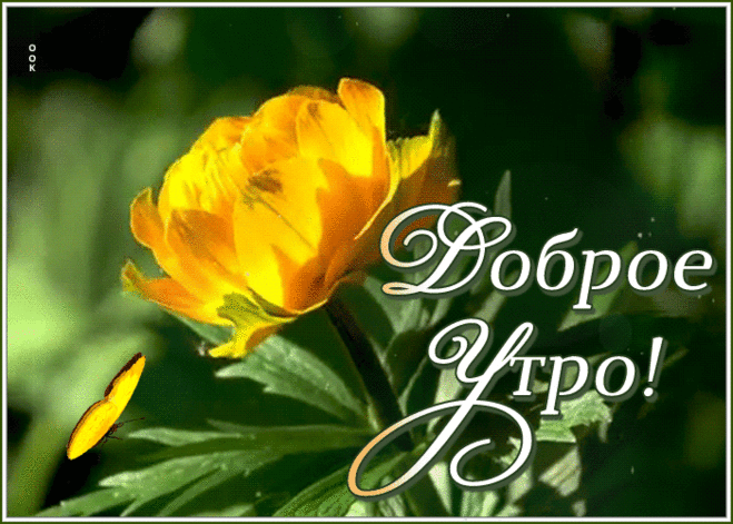 Весенняя открытка доброе утро
