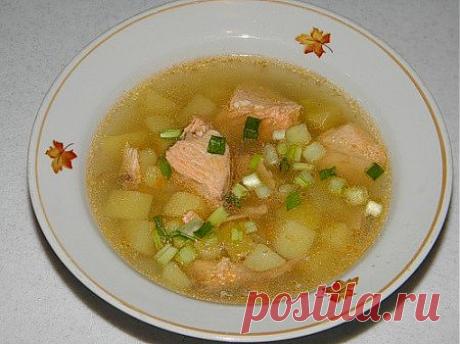 Уха из семги – рецепт вкусной и насыщенной ухи. Как сварить аппетитную уху из семги? » Вкусные кулинарные рецепты 2014. Кулинарные рецепты на любой вкус. Рецепты первых и вторых блюд, рецепты салатов, закуски и десерты, коктейли и напитки