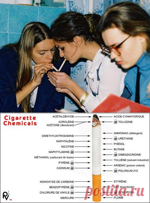 597 ингредиентов сигарет, о которых не рассказывают табачные компании