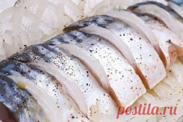 Слабосоленая соленая скумбрия