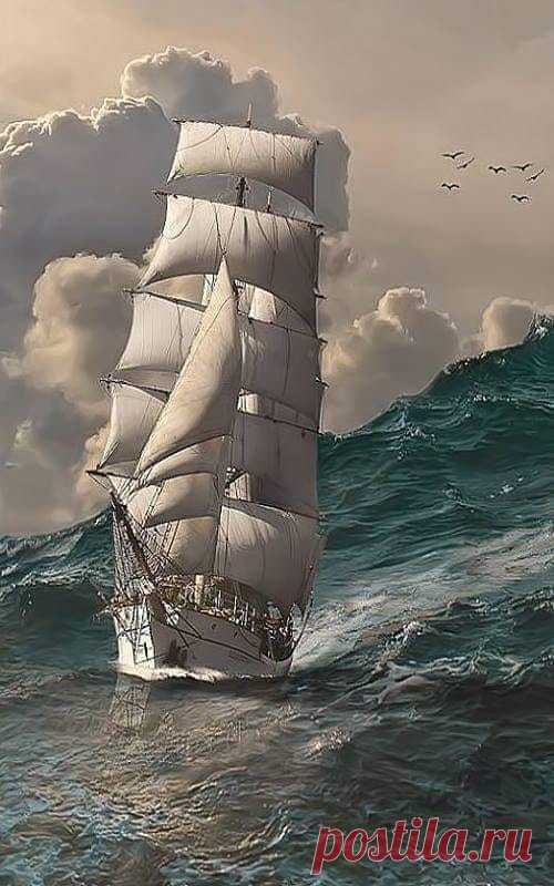 (6) Facebook