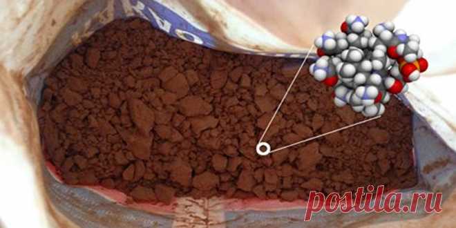 Второй напиток после воды! Сколько чашек нужно выпивать каждый день и почему так опасно им пренебрегать. Какао любят все. Ароматное, бархатное, горьковатое. Сложно найти женщину, которая не могла бы оценить по достоинству вкус этого королевского напитка. Ацтеки называли хорошее какао «драгоценной вещью» и научились готовить его правильно задолго до наших дней.  Конечно же, в любом деле важна умеренность. Шестьдесят чашек в день мог выпивать разве что правитель ацтеков Моте...