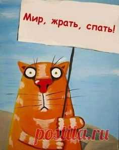 Письмо «Самые популярные Пины за эту неделю!» — Pinterest — Яндекс.Почта