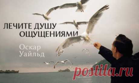 20 гифок о том, как устроено все на свете