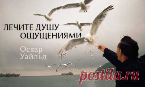 20 гифок о том, как устроено все на свете