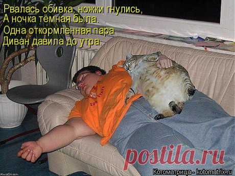 kotomatritsa_hj.jpg (Изображение JPEG, 604 × 453 пикселов)