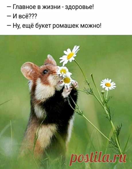 Самое главное – это то, с каким настроением вы входите в новое утро. Пусть будет хорошее настроение и прекрасный день!
Пусть будет настроение отличное, желаний исполнение безграничное. Чтоб солнце нам всем ярко улыбалось, и все плохое – сразу забывалось!
СЛАВА ВЕЛИКОМУ БОГУ ЗА ЭТОТ ДЕНЬ!