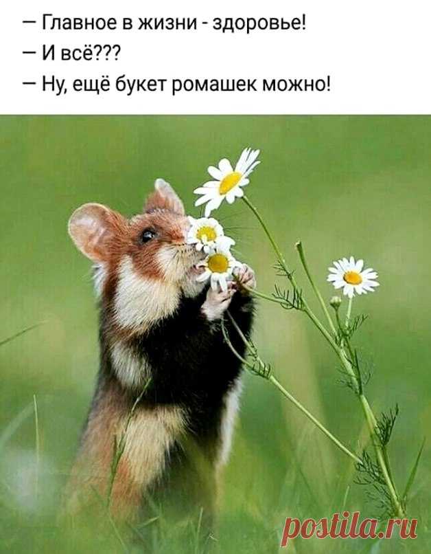 Самое главное – это то, с каким настроением вы входите в новое утро. Пусть будет хорошее настроение и прекрасный день!
Пусть будет настроение отличное, желаний исполнение безграничное. Чтоб солнце нам всем ярко улыбалось, и все плохое – сразу забывалось!
СЛАВА ВЕЛИКОМУ БОГУ ЗА ЭТОТ ДЕНЬ!