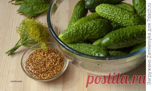 Маринованные огурцы с французской горчицей. Пошаговый рецепт с фото