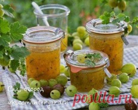 Татьяна Креклина