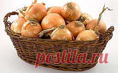 Домашние средства против выпадения волос. Маски. | Все для женщин