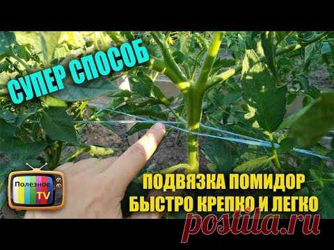 ПОДВЯЗКА ПОМИДОР БЫСТРО КРЕПКО И ЛЕГКО СУПЕР СПОСОБ