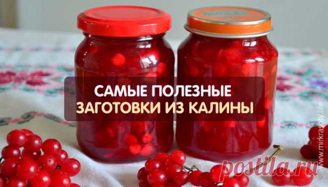 Вот насколько полезна калина!