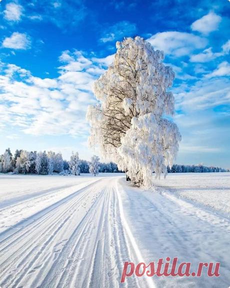 Мой Мир@Mail.Ru