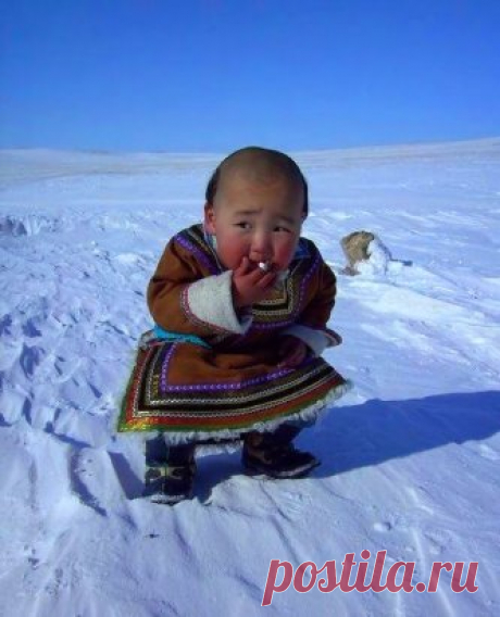 ВОТ  ОН!!!!---- - Ёкарный Бабай)))