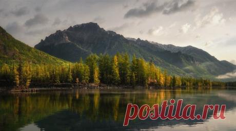 Google+