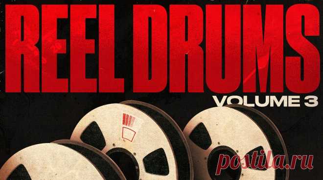 Tamuz Reel Drums Vol. 3 WAV | 1.04 GB
This pack once again delivers the unmistakable warmth and punch of pure analog sound, capturing the essence of live drum recordings. Featuring 202 expertly recorded drum breaks across three distinct drum kits, every loop breathes with authenticity, free from mechanical rigidity—just pure, organic groove.
DOWNLOAD AT:
https://audioclub.store/samples/reel-drums-vol-3-wav/