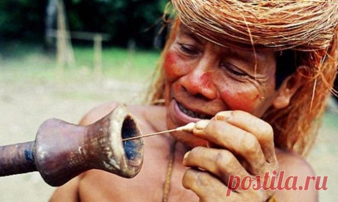 Методы лечения индейцев майя