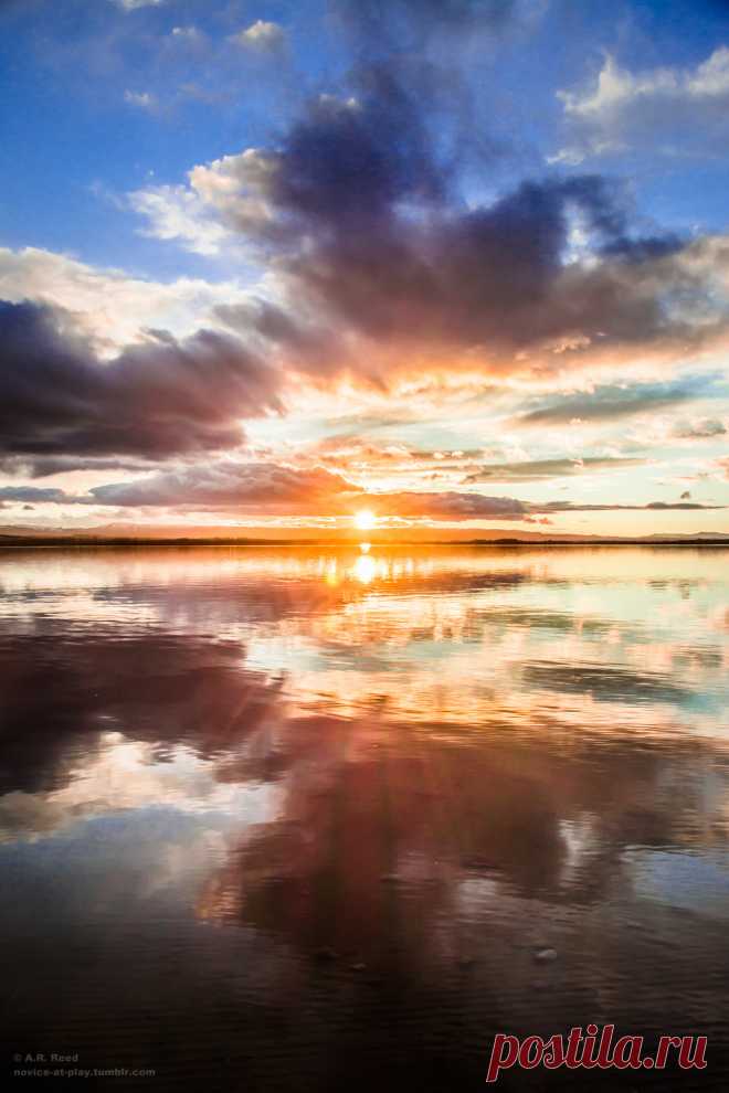 (7) Tumblr